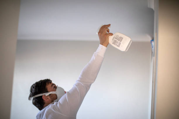 Professional Mold Removal in Saratoga, CA