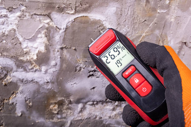 Crawl Space Mold Removal in Saratoga, CA