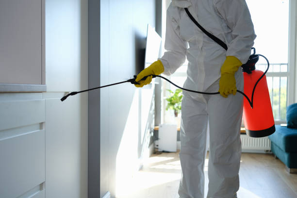Best Certified Mold Removal  in Saratoga, CA