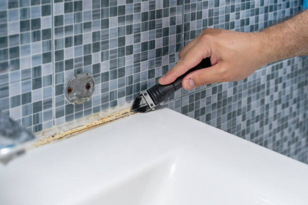 Best Emergency Mold Removal  in Saratoga, CA